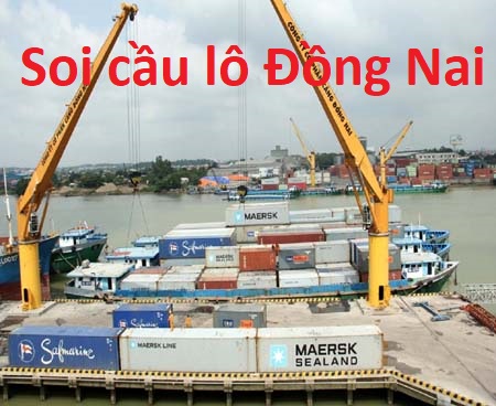 Soi cầu lô Đồng Nai tổng hợp kết quả xổ số 30 ngày vừa qua